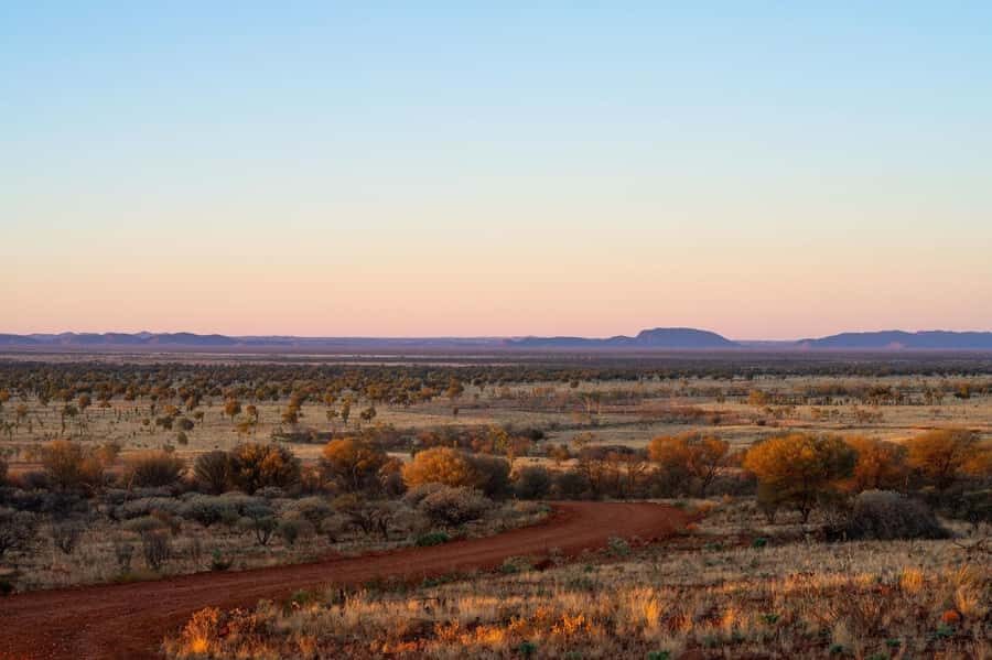 Alice Springs: Red Centre Journey Tour with Morning Tea - What Travelers Say