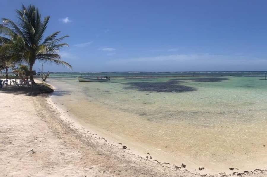 All-Inclusive Costa Maya Beach Break with Open Bar - The Real Deal: Is It Good Value?