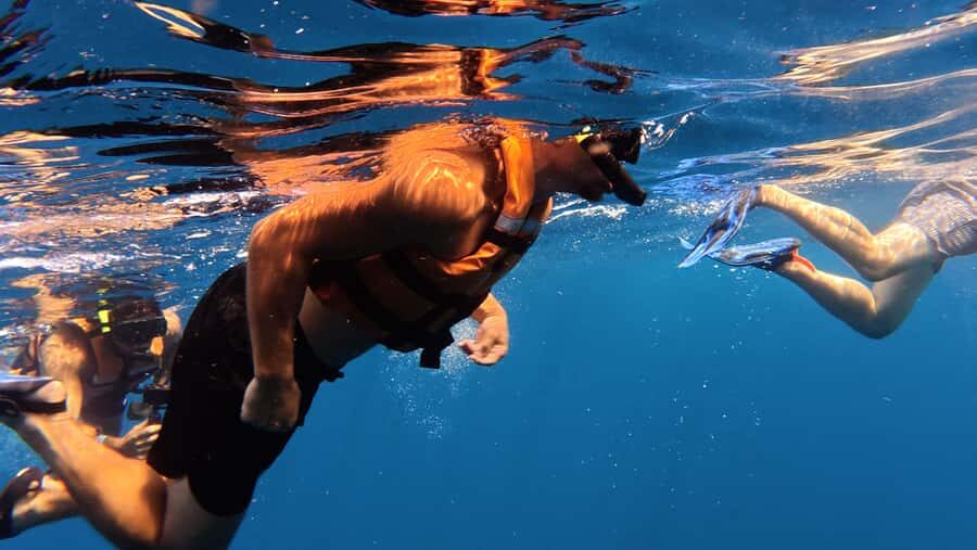 Amazing Adventure, Search and Swim with Whale Sharks on Holbox Island - The Itinerary Breakdown