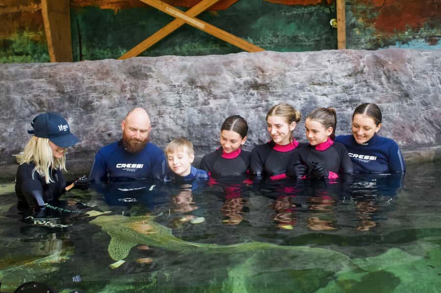 Anna Bay: Irukandji Entry Pass with Zebra Shark Encounter - Practical Details & Value