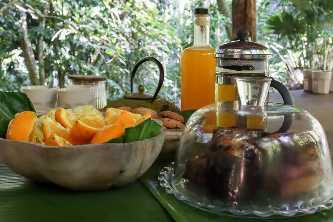 AOA Polynesian Forests - Tahiti Nature Immersion Day - Who Will Love This Tour?