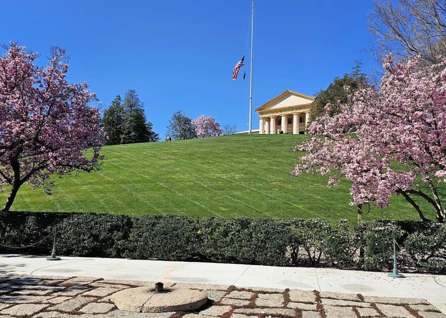 Arlington National Cemetery: 2.5 hour Guided Walking Tour - What You Can Expect on This Tour