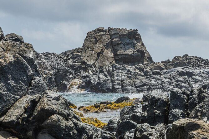 Aruba National Park Tour with Natural Pool & Baby Beach Snorkel - What the Reviews Say