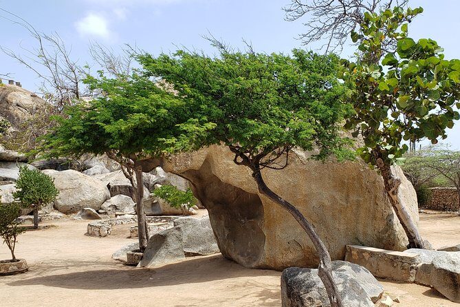 Arubabound Transfers - Who Will Love This Service?