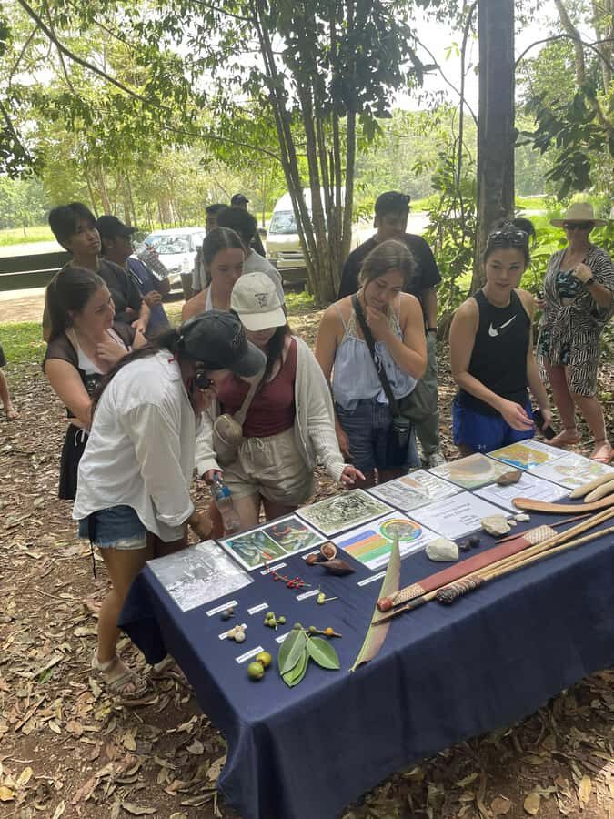 Atherton: Yidinji Explorer Tour with Fig Tree & Lake Barrine - The Cathedral Fig Tree: A Living Legend