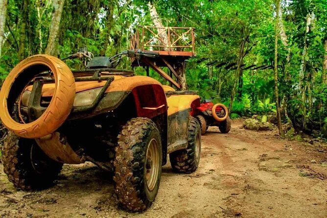 Atv tour from Cancun with ziplines and cenote swim experience - Who Should Book This Tour?