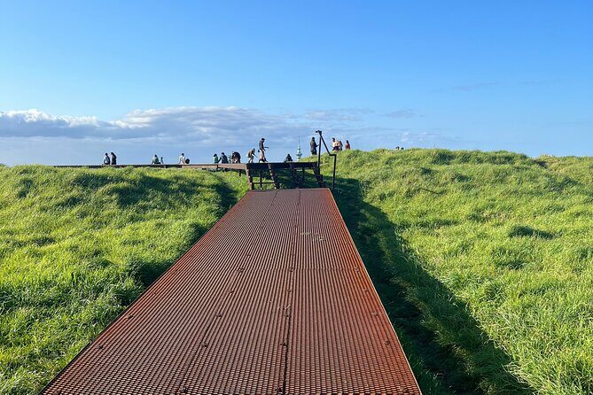 Auckland City Highlights and Hidden Gems Half Day Tour - Transport and Practicalities
