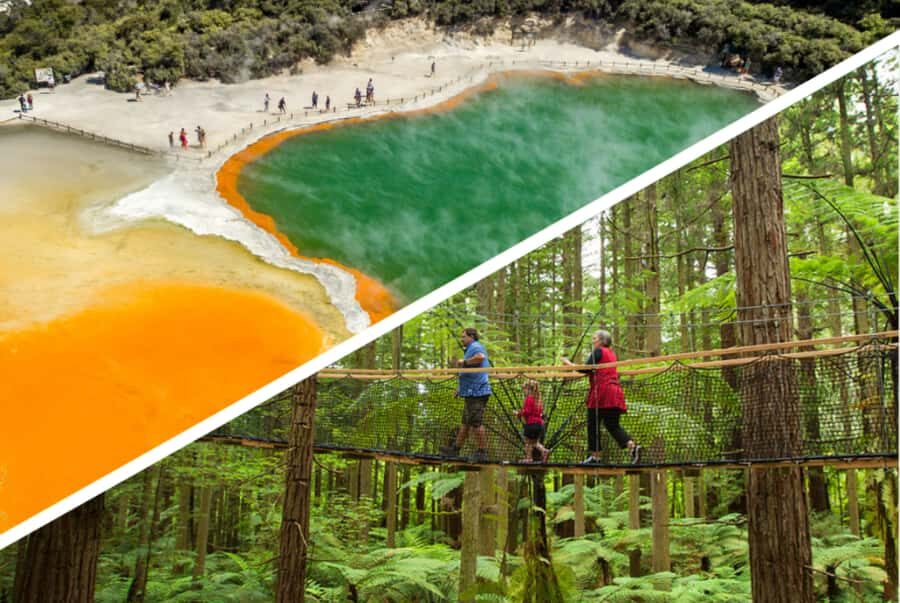 Auckland: Rotorua Highlights w WaiOTapu & Redwoods Treewalk - The Itinerary in Depth