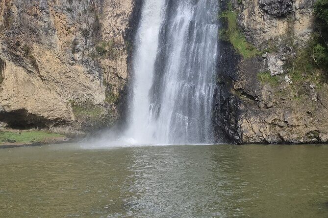 Auckland Town and Country Delights Tour - Value for Money