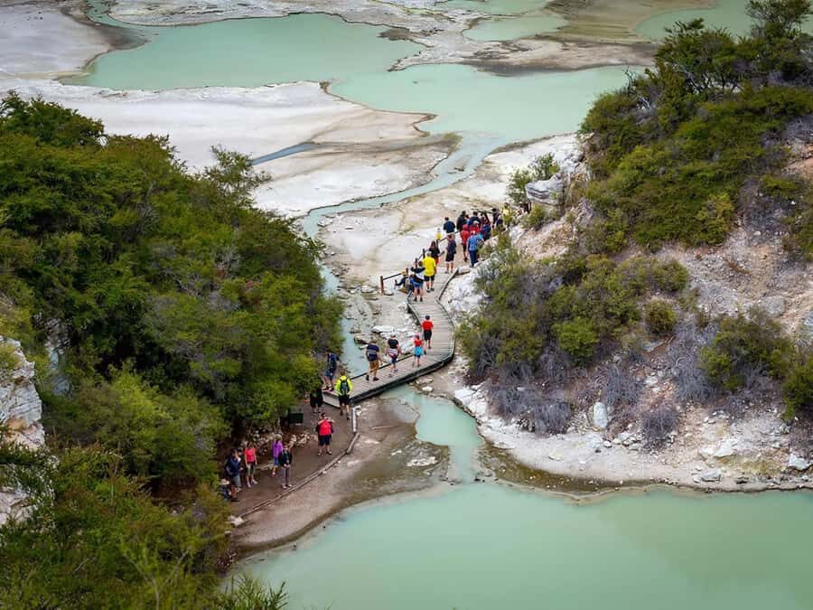 Auckland: Wai-O-Tapu & Wai Ariki Hot Springs Day Tour - What Makes This Tour Stand Out