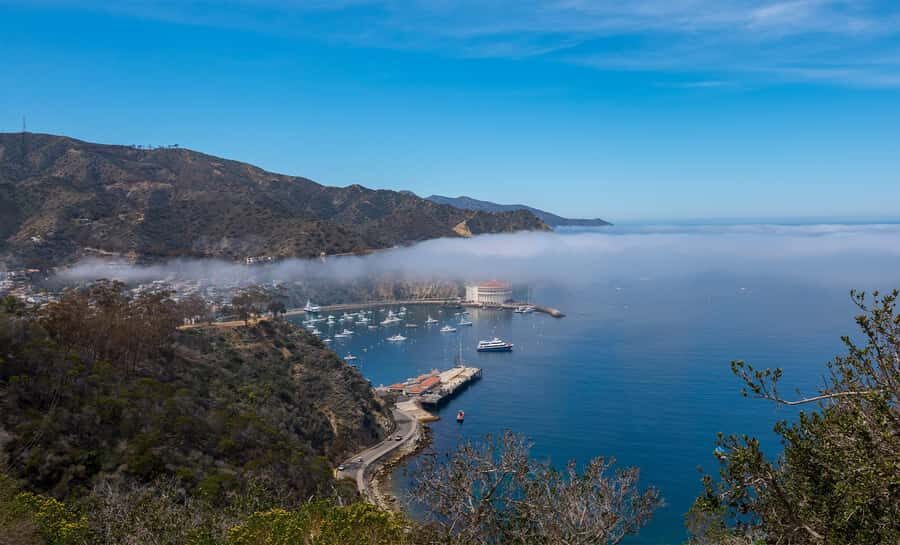 Avalon, Catalina Island: 2-Hour Inside Adventure Tour - Key Points