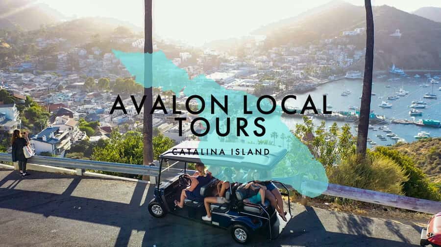 Avalon: Private Golf Cart Tour with Driver-Guide - The Itinerary in Detail