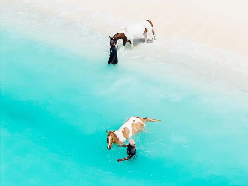 Bahamas: Horseback Riding Adventure on Beaches & Trails - A Detailed Breakdown of the Itinerary