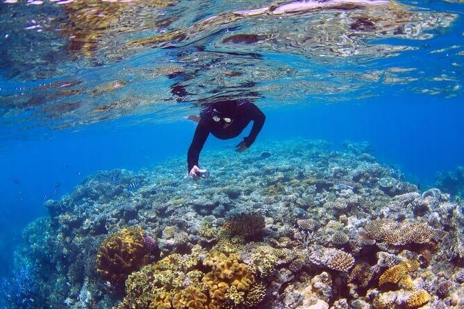 Bahia Principe Fantasia - Round Trip Shuttle - Punta Cana Airport - Why This Transfer Offers Good Value