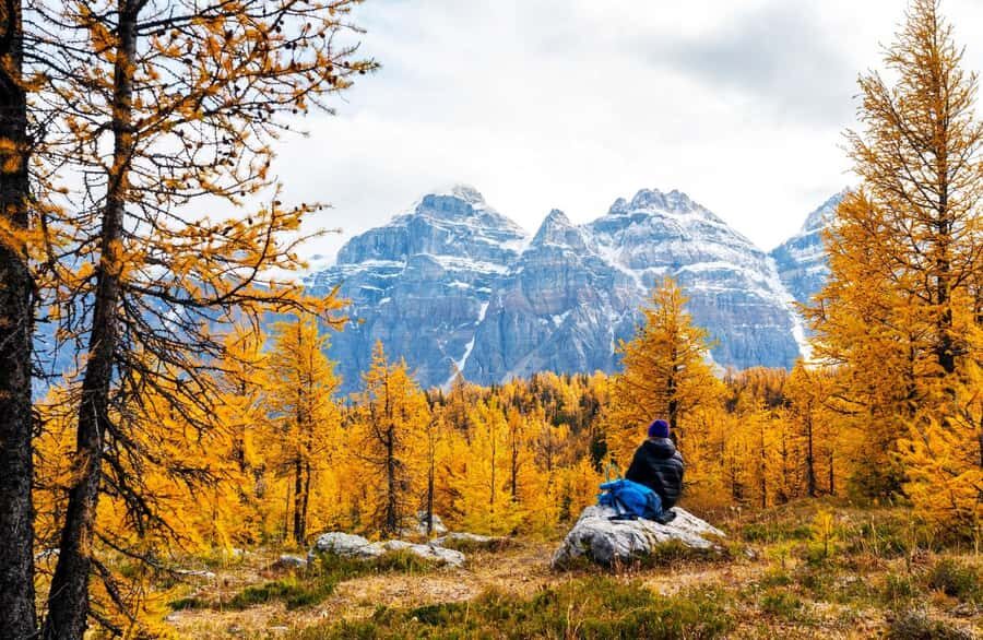 Banff/Canmore: Larch Valley & Moraine Lake shuttle RoundTrip - Final Thoughts: Is It Worth It?