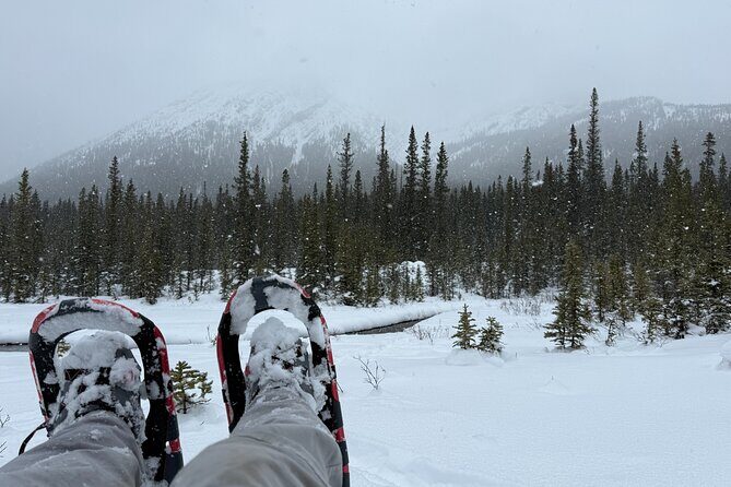 BANFF: Remote Guided Snowshoeing Adventure +Transportation - What to Bring and What’s Included