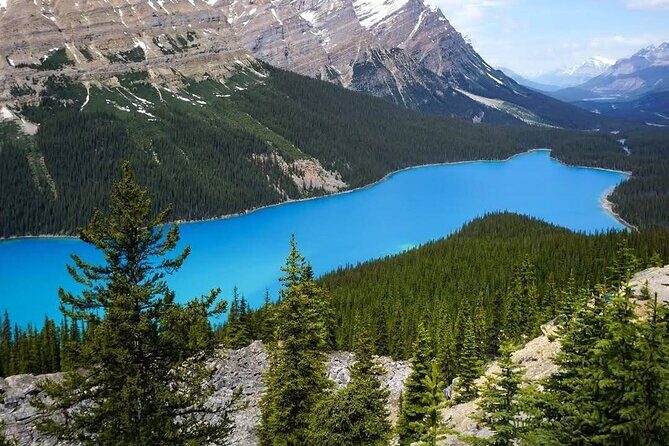Banff to Columbia Icefield and Peyto Lake with Crowfoot Glacier - The Sum Up