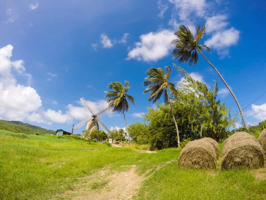 Barbados Highlights Tour - What to Expect and Practical Tips