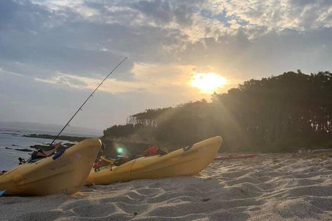 Batemans Bay Overnight Kayak Camping Tour from Canberra - All Inclusive - Who Is This Tour Best Suited For?