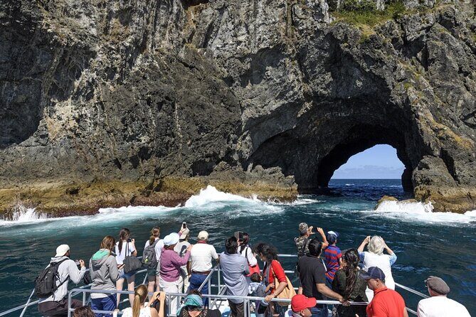 Bay of Island Day Tour with Hole in the rock cruise from Auckland - What to Expect from Each Experience