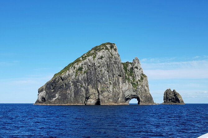 Bay of Islands Hole in the Rock Cruise Day Tour - What Makes This Tour Special