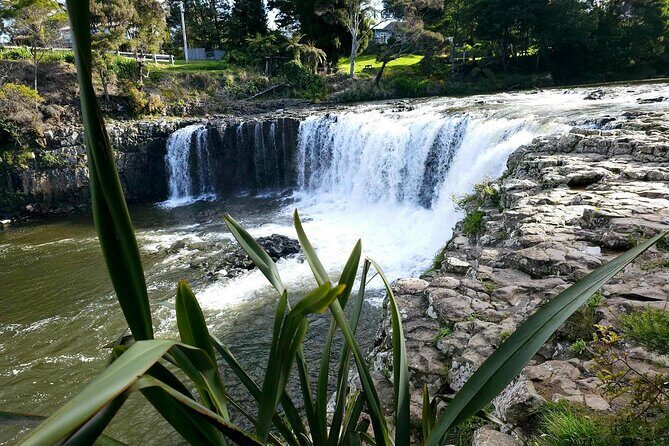 Bay of Islands - Mini Tour: (75-90mins) - Transport & Group Size