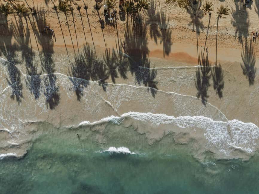 Bayahibe: Saona Island Boat Tour Small Group - The Good, the Bad, and the Reality