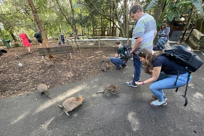 Best of Blue Mountains: Private Tour - What Travelers Say (Based on Reviews)