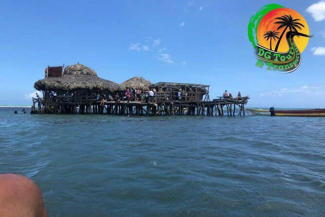 Black River Safari, YS Falls and Floyd's Pelican Bar - What the Tour Includes and What to Expect