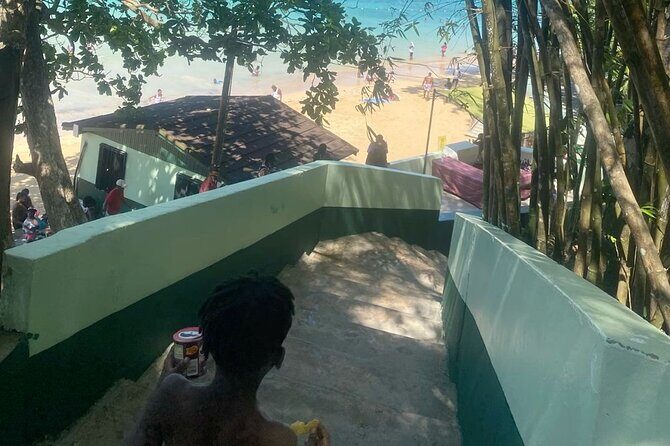 Blue Hole and dunns river falls tour from Montego bay - Who Should Consider This Tour?