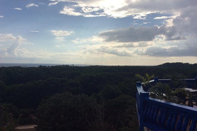 Blue Hole Mineral Springs, Rick's Café, and Shopping Combo Tour - An In-Depth Look at the Tour Experience