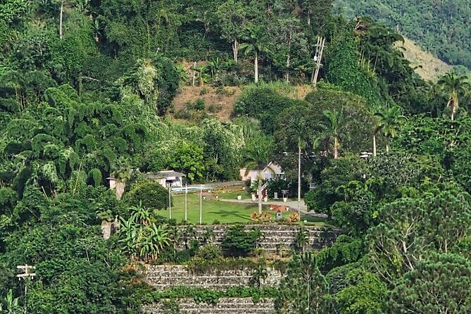 Blue Mountain Coffee Hike and Tour - What to Expect at Each Stop