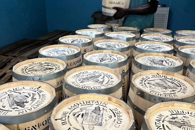 Blue Mountain Highlights Experience - Transportation, Group Size, and Cost