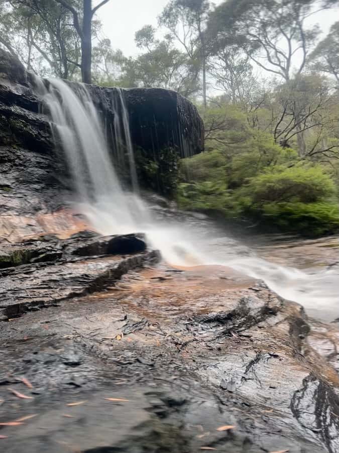 Blue Mountains: Overcliff-Undercliff Guided Hike - Itinerary Breakdown: What You Can Expect