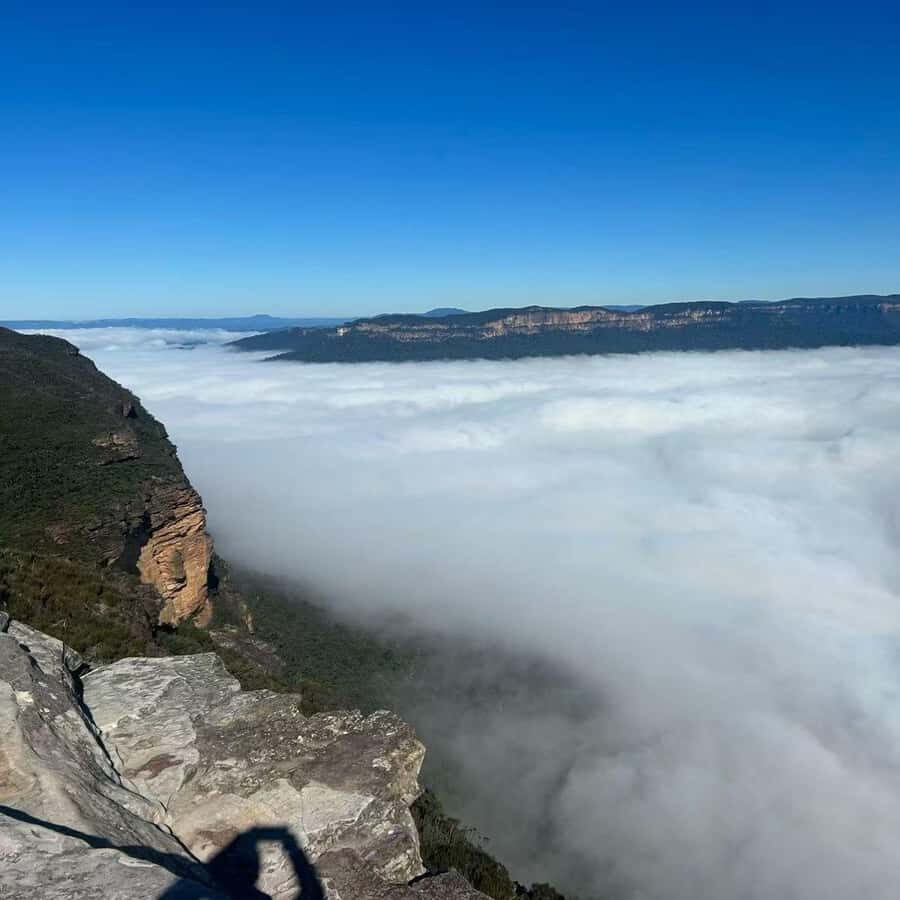 Blue Mountains Tour, Katoomba Falls & Cockatoos Small Group - The Itinerary in Detail