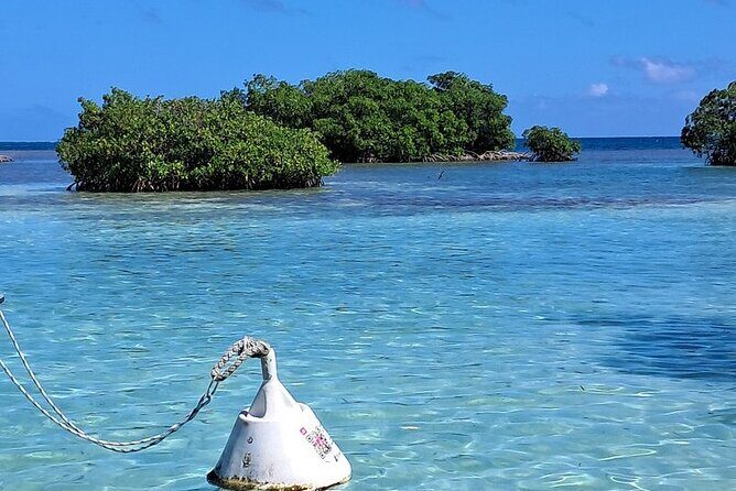 Boat trip EN 1/2 Day in the Grand Ass DE Sac Marin - Who Is This Tour Best Suited For?