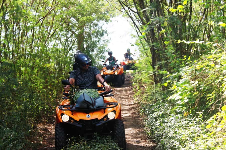 Bora Bora: Island Tour and Mountains Getaway by Quad Bike - The Amanahune Plateau: A View of Blues