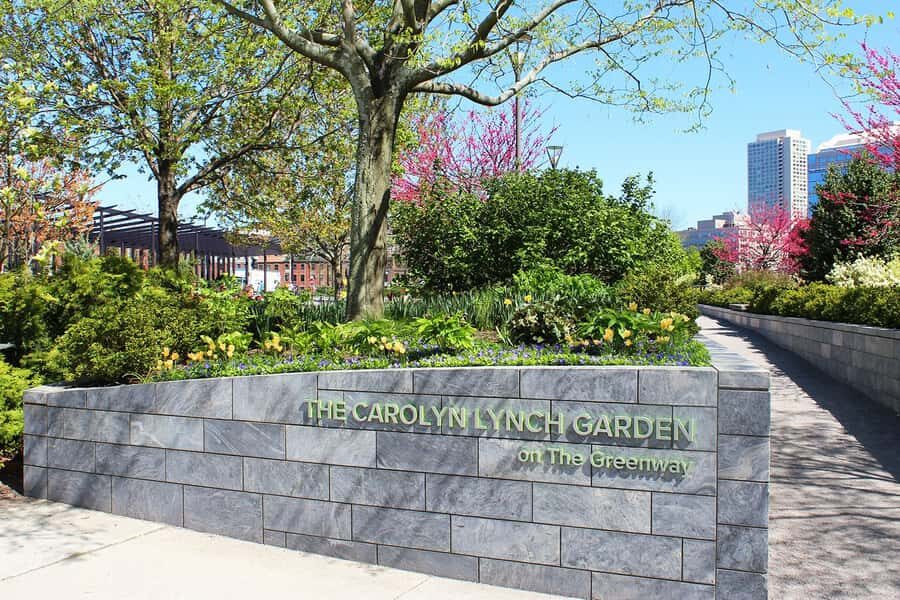 Boston: 250 Freedom Trail Walking Tour - What to Expect on the Tour