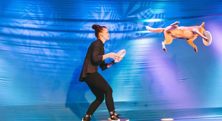 Branson: Pets and Giggles Kid's Comedy Show - What Makes Pets and Giggles Stand Out?