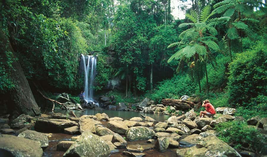 Brisbane: Hop on Hop off Bus to Tamborine Mountain - Who Should Consider This Tour?