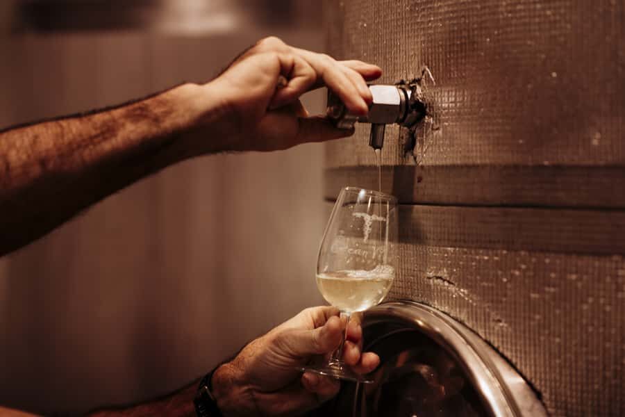 Brisbane: Wine & Dine In The Vines - Who Will Love This Tour?