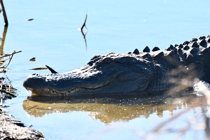Bulls Island Ferry Adventure - Walking on Bulls Island: Trails and Beaches