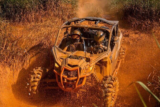 Bush Trails Excursion ATV/Buggy Tour - The Itinerary: What to Expect