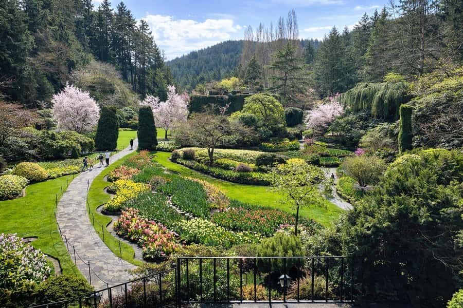 Butchart Gardens Spring & Summer Bloom Highlights (4hr tour) - Scenic Victoria Drive and Local Highlights