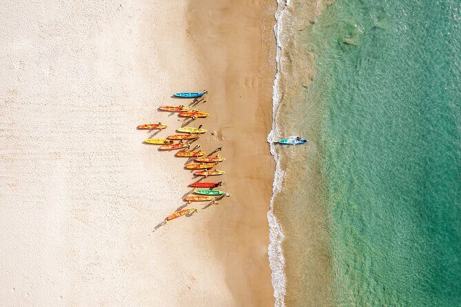 Byron Bay Discovery Day from Gold Coast - Practical Details and Considerations