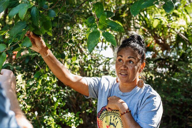 Byron Bay Lighthouse Aboriginal Tour - What’s Included and What to Consider