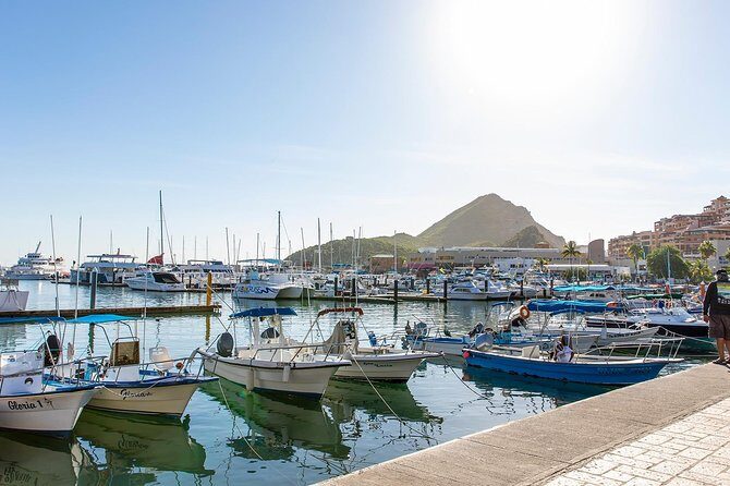 Cabo San Lucas City Tour - Who Should Consider This Tour?