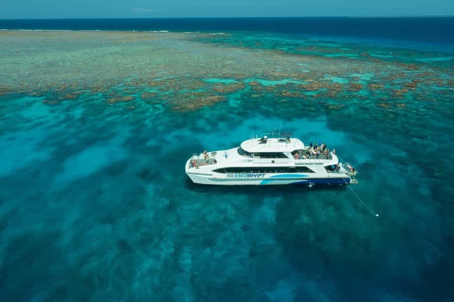 Cairns: Silverswift 3 Great Barrier Reef Sites in 1 Day - Final Thoughts