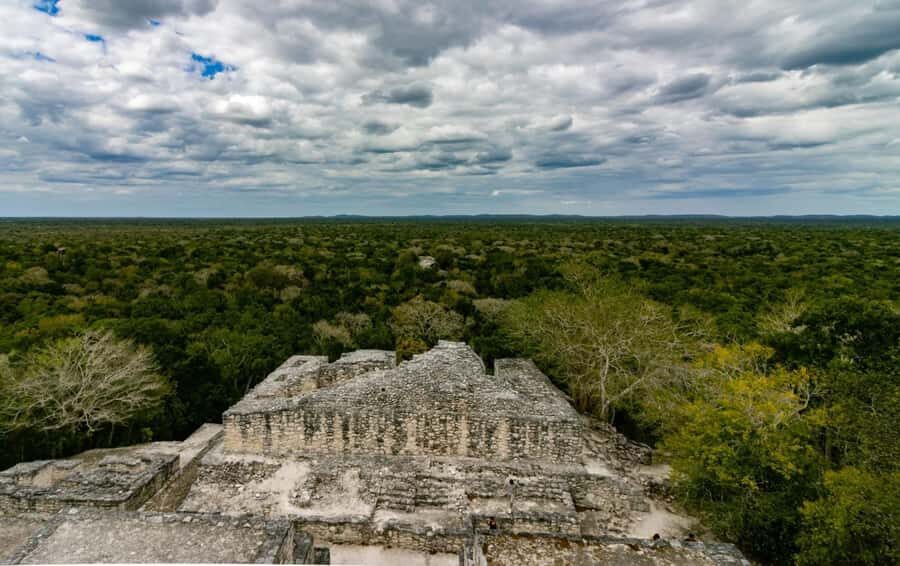 Calakmul Tour: Among Animals and Mayan History - Who Should Consider This Tour?