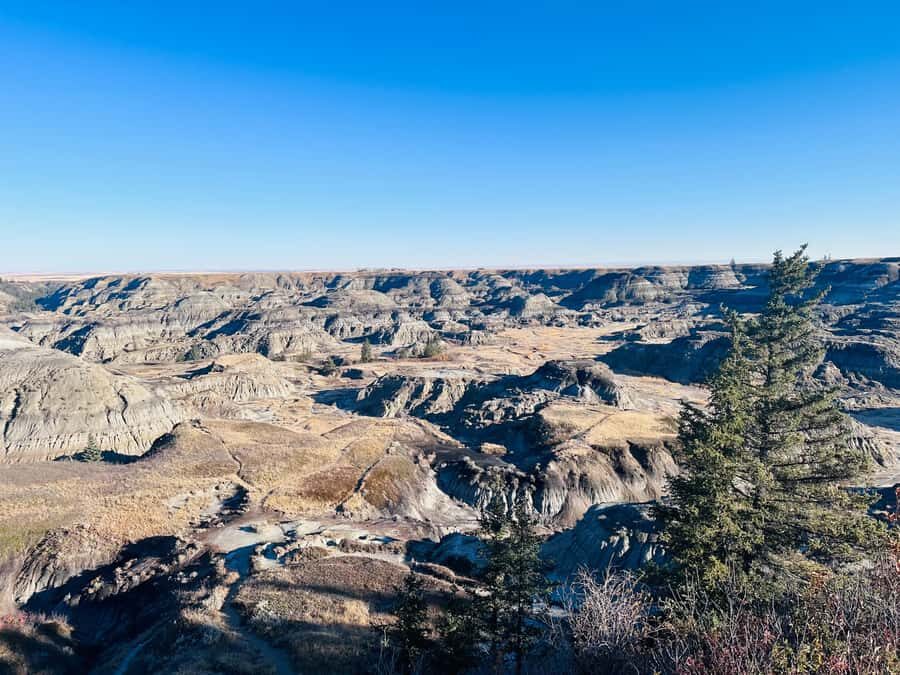 Calgary: Guided Drumheller Small Group Tour Museum, Hoodoos - The Value of a Small Group Tour